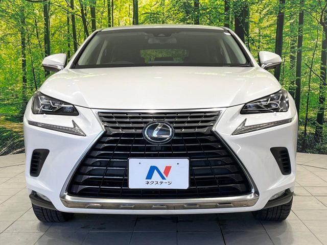TOYOTA LEXUS NX300 2018 Image 31
