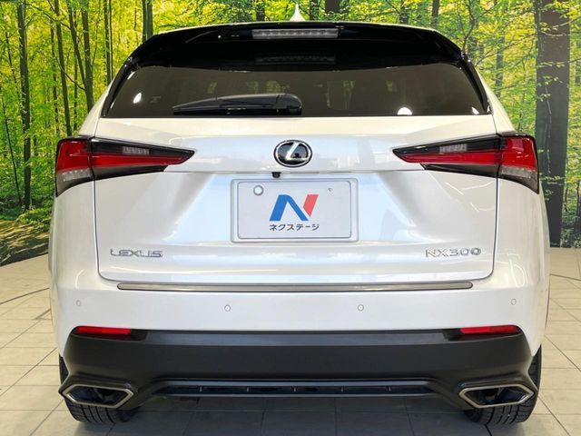 TOYOTA LEXUS NX300 2018 Image 31