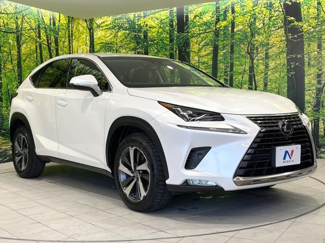 TOYOTA LEXUS NX300 2018 Image 31