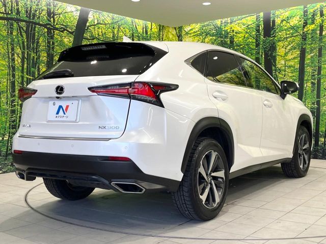 TOYOTA LEXUS NX300 2018 Image 31