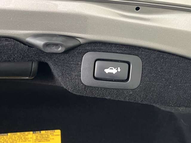 TOYOTA LEXUS LS600H 2013 Image 31