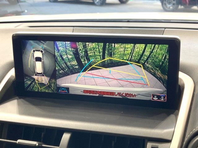 TOYOTA LEXUS NX300H 2018 Image 31