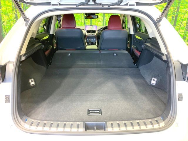 TOYOTA LEXUS NX300H 2018 Image 31