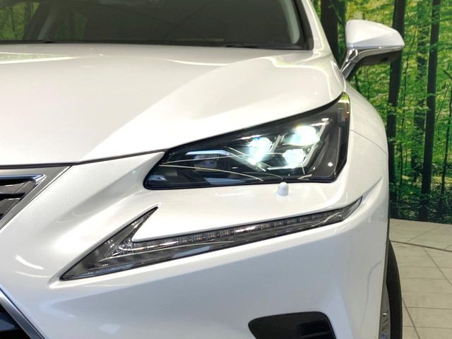 TOYOTA LEXUS NX300H 2018 Image 31