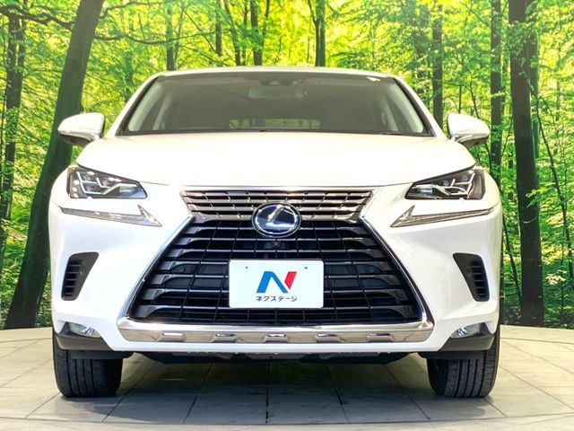 TOYOTA LEXUS NX300H 2018 Image 31
