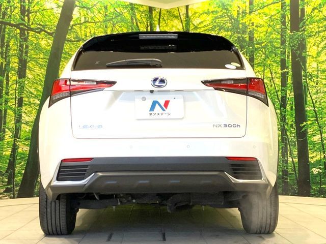 TOYOTA LEXUS NX300H 2018 Image 31