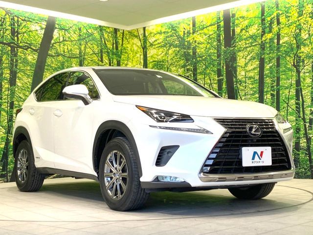 TOYOTA LEXUS NX300H 2018 Image 31