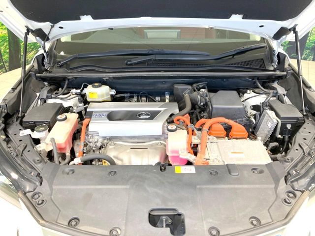 TOYOTA LEXUS NX300H 2018 Image 31