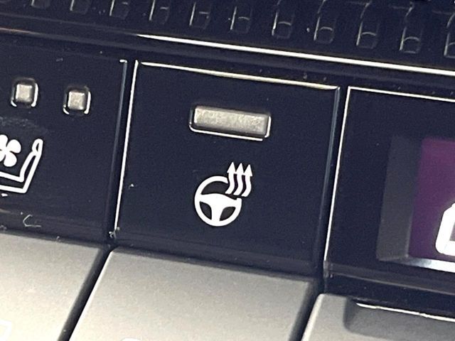 TOYOTA LANDCRUISER 250 2025 Image 31