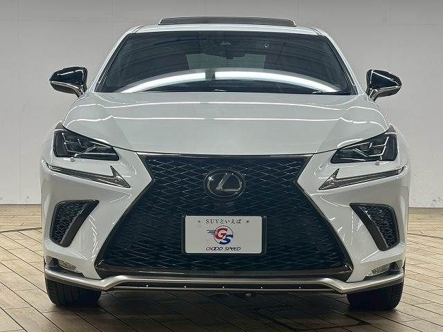 TOYOTA LEXUS NX300 2018 Image 31