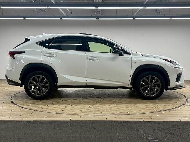 TOYOTA LEXUS NX300 2018 Image 31