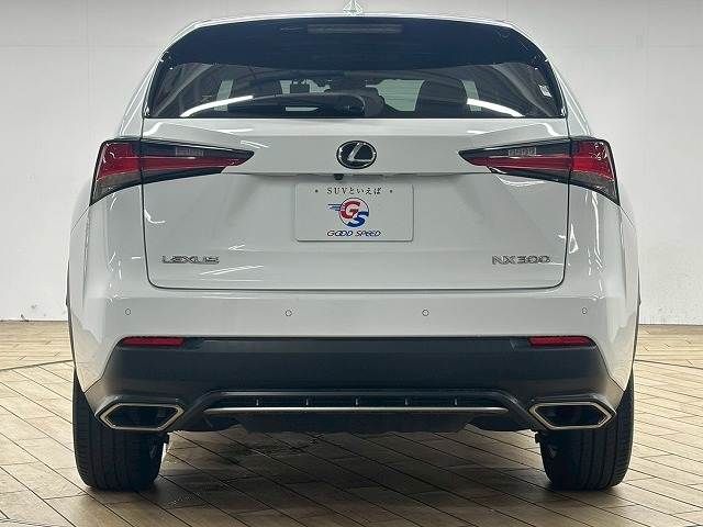 TOYOTA LEXUS NX300 2018 Image 31