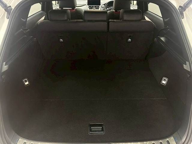 TOYOTA LEXUS NX300 2018 Image 31