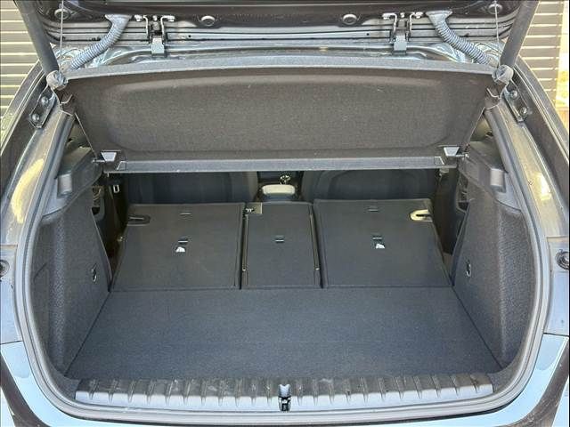 BMW 1SERIES 2020 Image 31