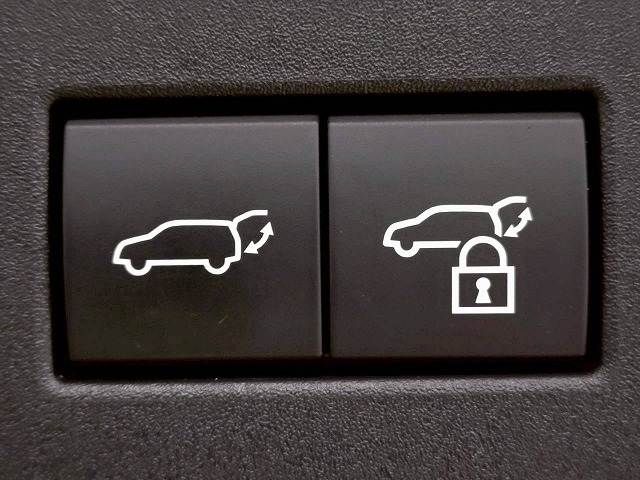 TOYOTA LANDCRUISER 250 2024 Image 31