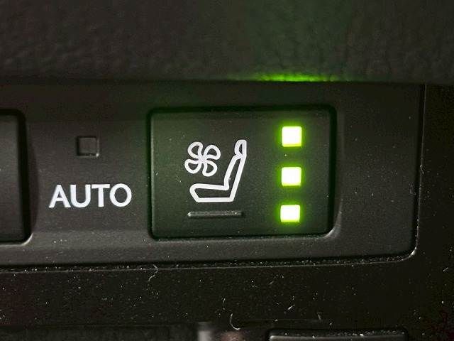 TOYOTA LEXUS ES300H 2020 Image 31