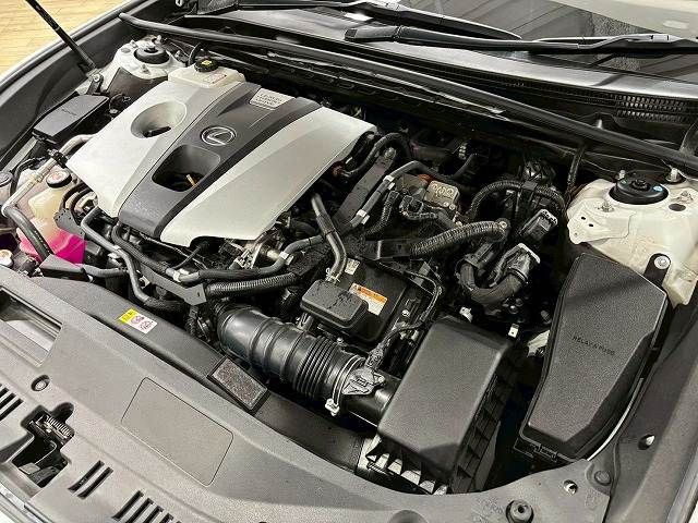 TOYOTA LEXUS ES300H 2020 Image 31