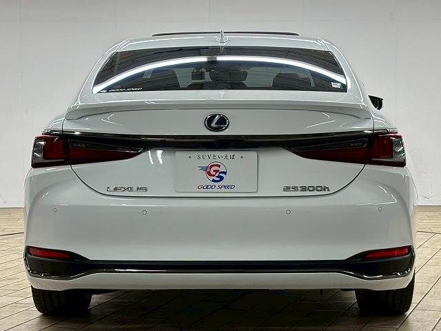 TOYOTA LEXUS ES300H 2020 Image 31