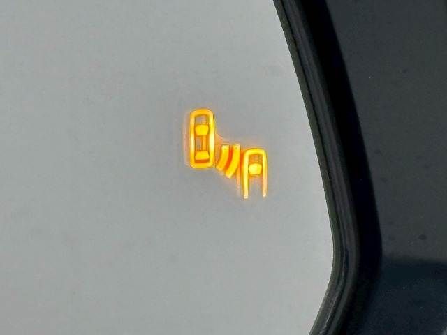 TOYOTA ALPHARD 2020 Image 31