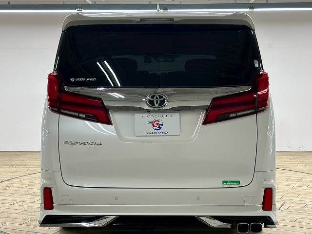 TOYOTA ALPHARD 2020 Image 31