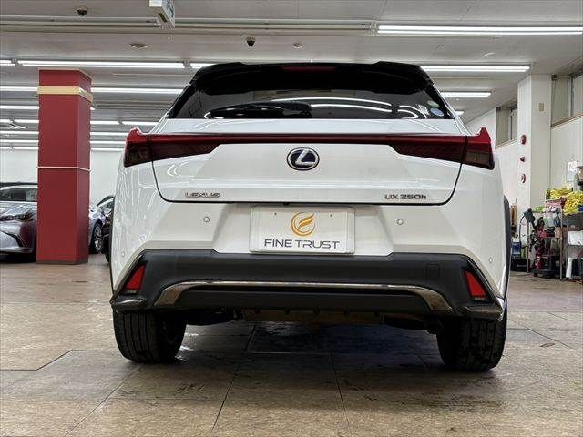 TOYOTA LEXUS UX250H 2021 Image 31