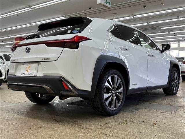 TOYOTA LEXUS UX250H 2021 Image 31