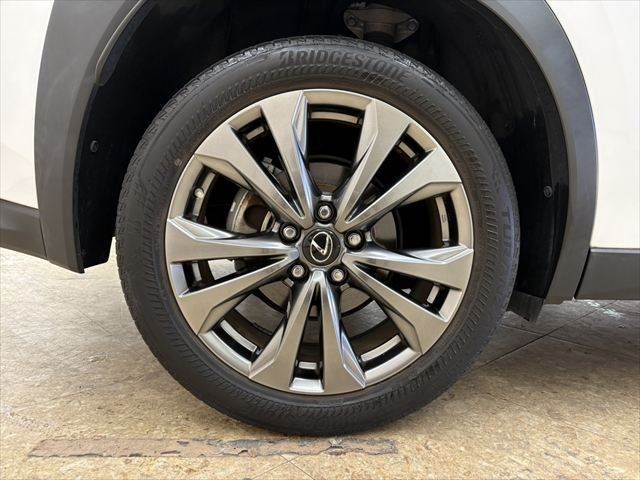 TOYOTA LEXUS UX250H 2021 Image 31