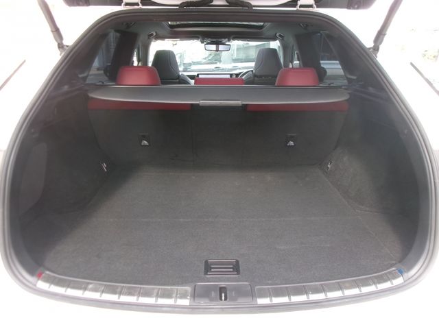 TOYOTA LEXUS RX350 AWD 2023 Image 31