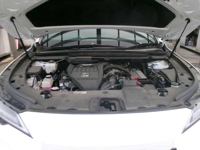 TOYOTA LEXUS RX350 AWD 2023 Image 31