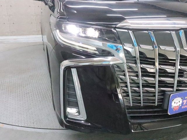 TOYOTA ALPHARD 2019 Image 31