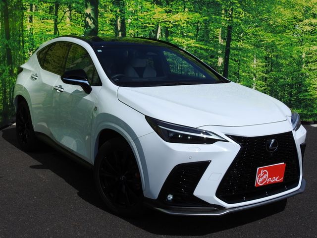 TOYOTA LEXUS NX350H 2023 Image 31