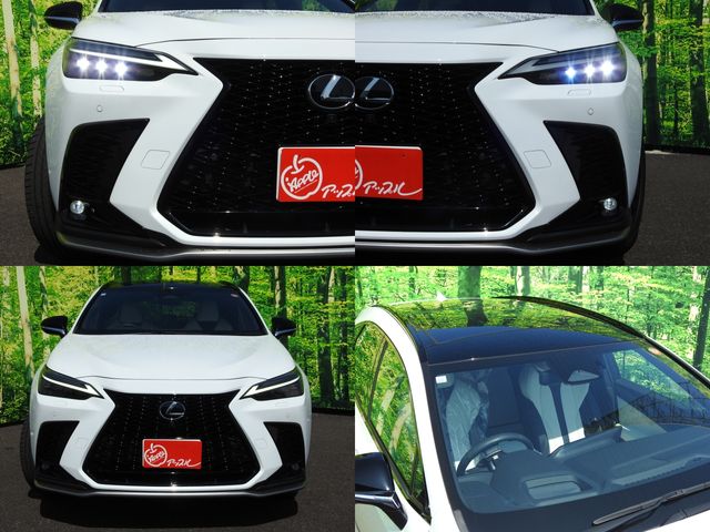 TOYOTA LEXUS NX350H 2023 Image 31