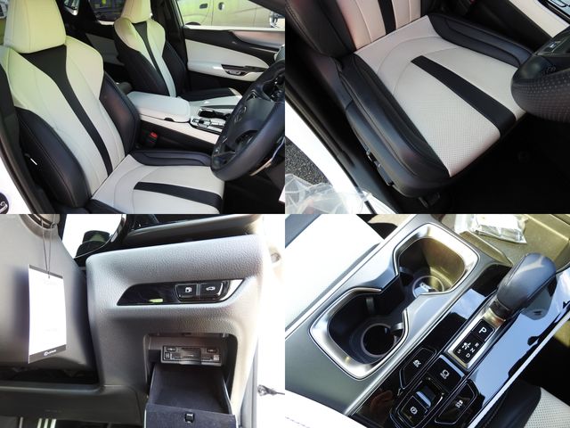 TOYOTA LEXUS NX350H 2023 Image 31