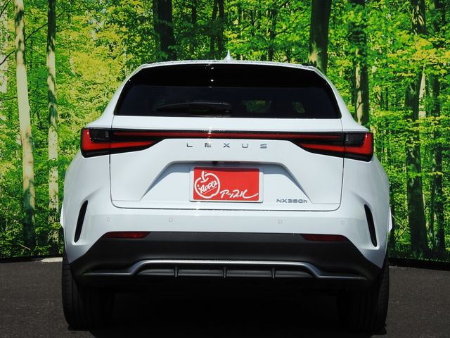 TOYOTA LEXUS NX350H 2023 Image 31