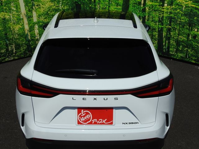 TOYOTA LEXUS NX350H 2023 Image 31