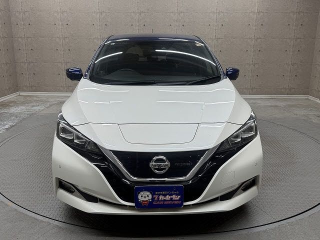 NISSAN LEAF 2019 Image 31