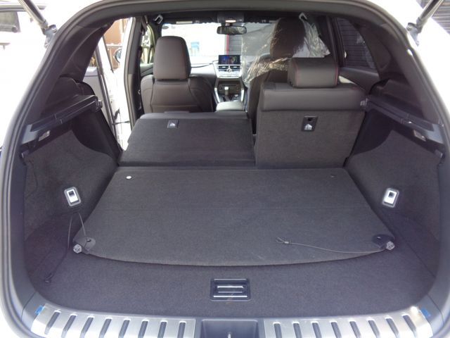 TOYOTA LEXUS NX300H 2015 Image 31