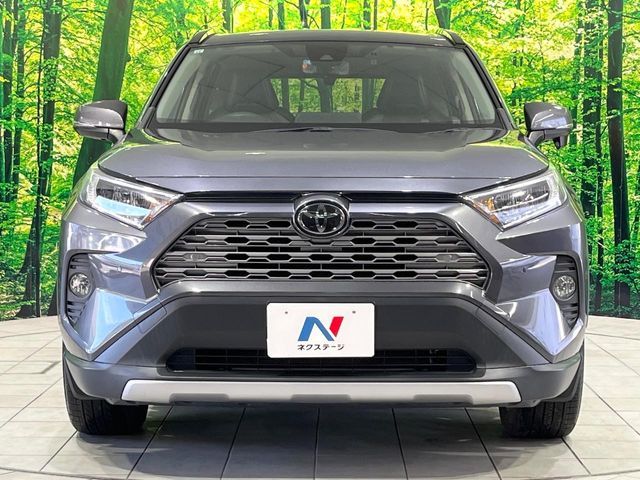 TOYOTA RAV4 4WD 2019 Image 31