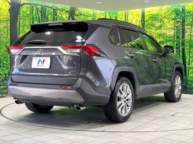 TOYOTA RAV4 4WD 2019 Image 31