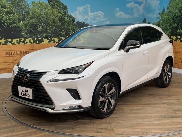TOYOTA LEXUS NX300H AWD 2021 Image 31