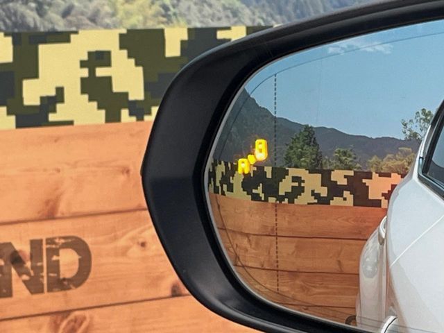 TOYOTA LEXUS NX300H AWD 2021 Image 31