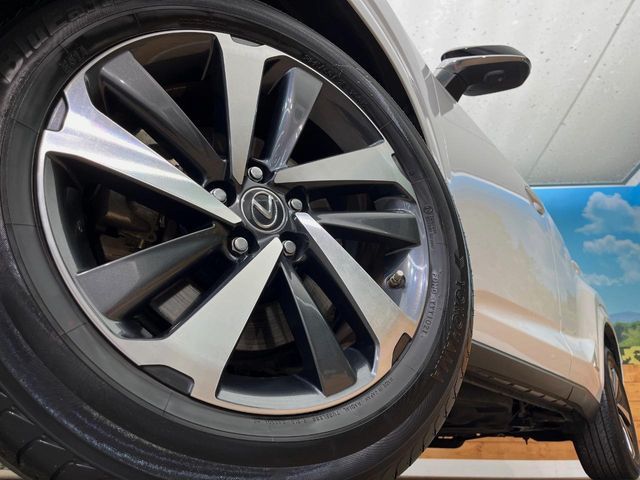 TOYOTA LEXUS NX300H AWD 2021 Image 31