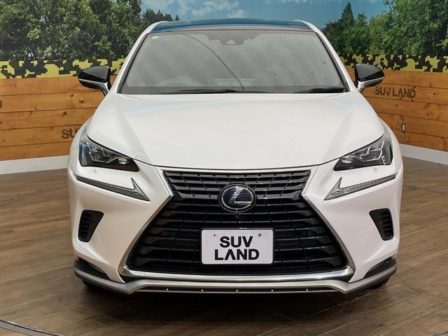 TOYOTA LEXUS NX300H AWD 2021 Image 31