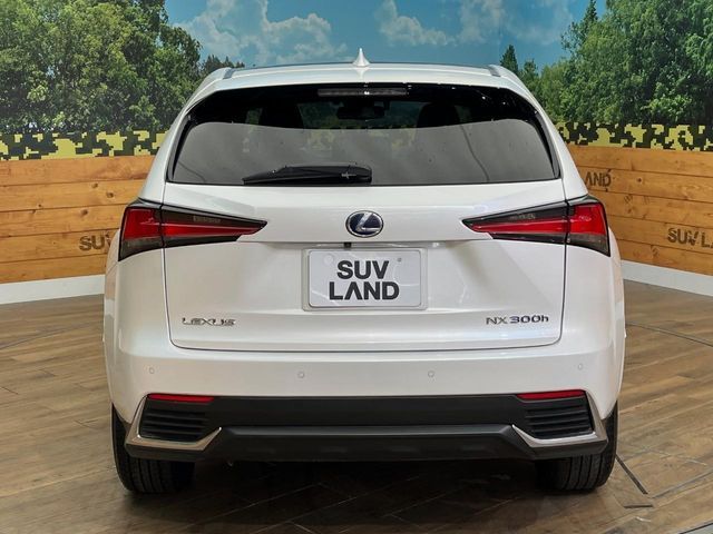 TOYOTA LEXUS NX300H AWD 2021 Image 31