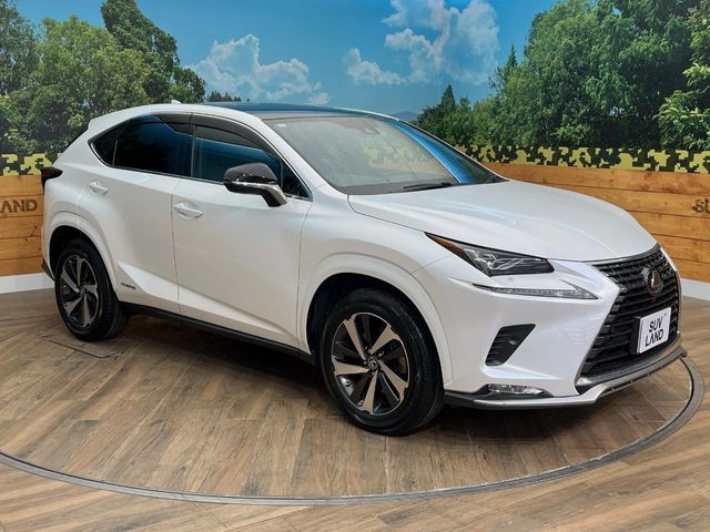 TOYOTA LEXUS NX300H AWD 2021 Image 31