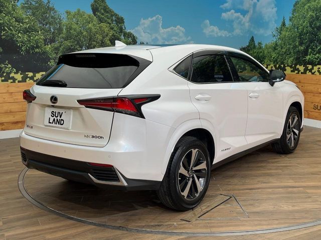 TOYOTA LEXUS NX300H AWD 2021 Image 31
