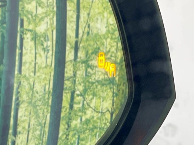 TOYOTA RAV4 4WD 2021 Image 31