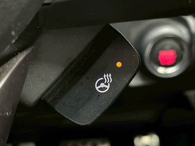 SUBARU FORESTER 2019 Image 31