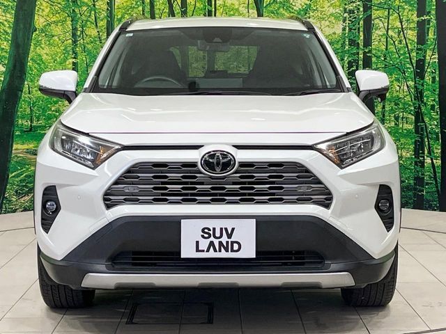 TOYOTA RAV4 4WD 2019 Image 31