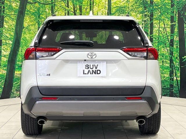 TOYOTA RAV4 4WD 2019 Image 31